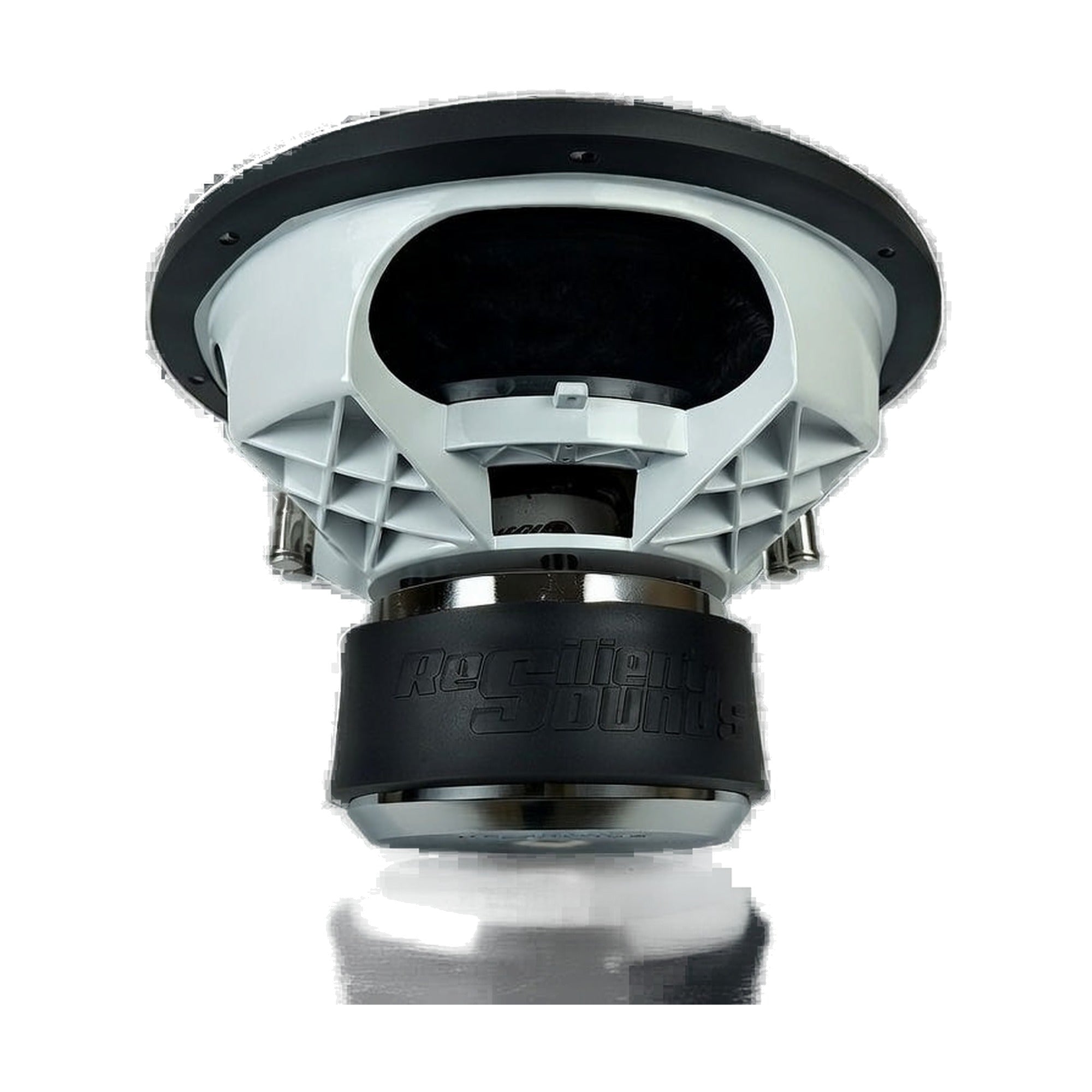 Resilient Sounds Gold 12" Subwoofer 1,000W RMS