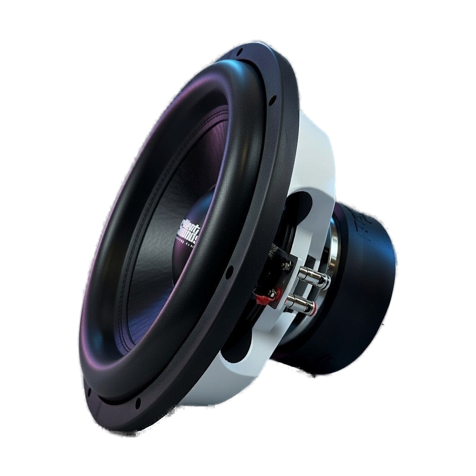 Resilient Sounds Gold 15" Subwoofer 1,000W RMS