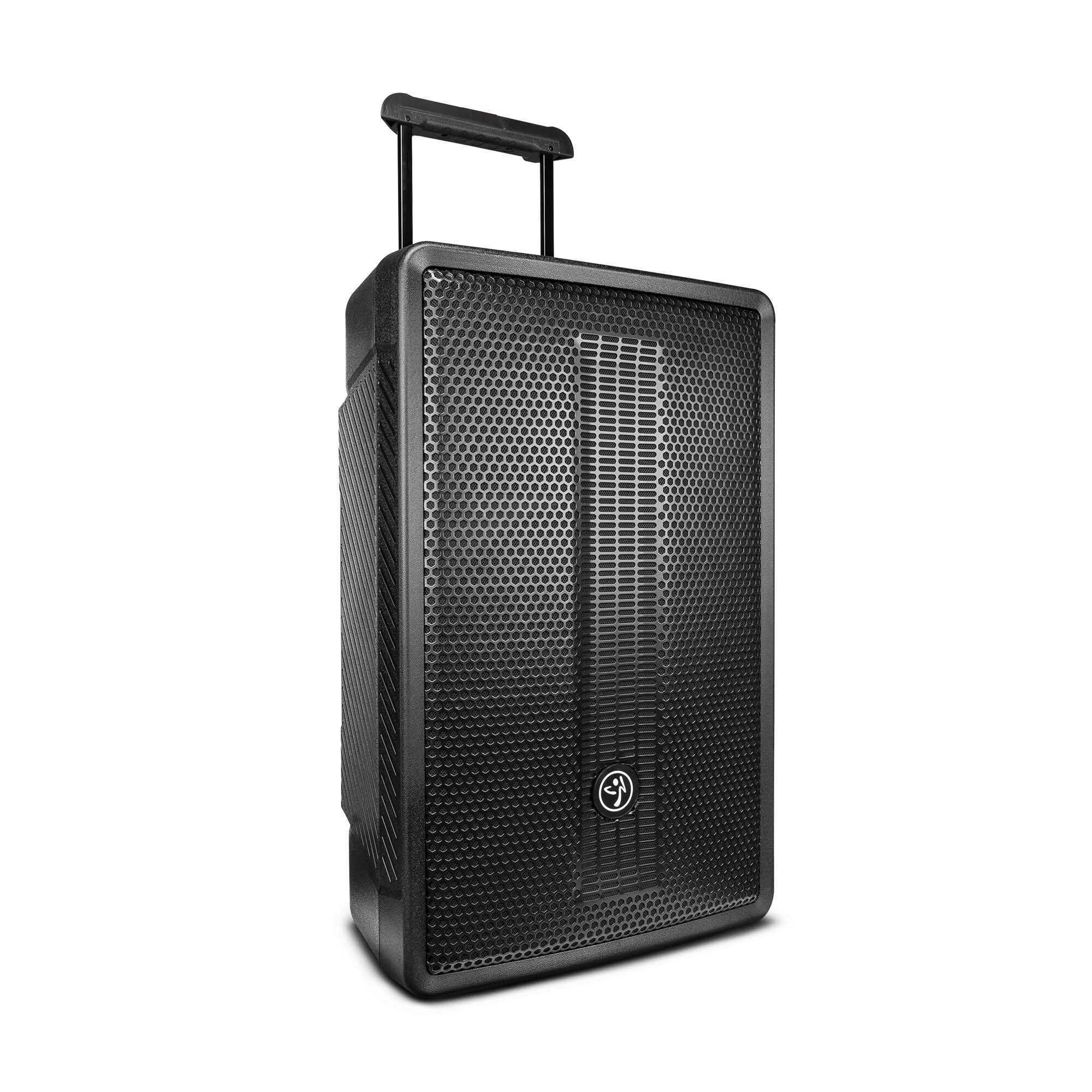 DS18 ZUMBA LOUD 15" High-Powered Amplified Professional Speaker System With Bluetooth and TWS 1000 Watts